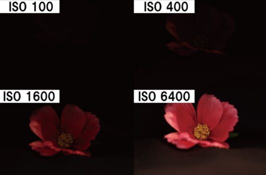 ISO感度の比較